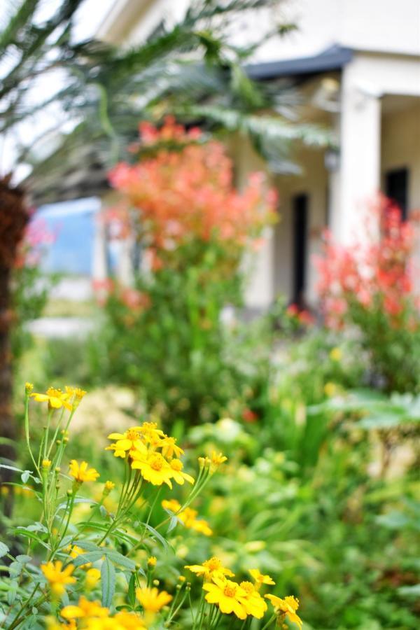 Rural Scenery Villa Taitung Ngoại thất bức ảnh